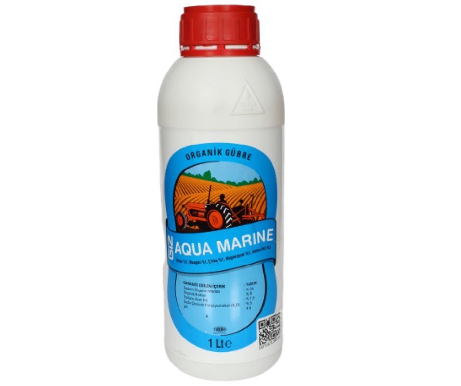 GİZ-AQUA MARİNE 1 LT