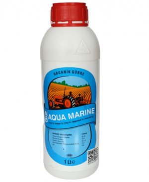 GİZ-AQUA MARİNE 1 LT