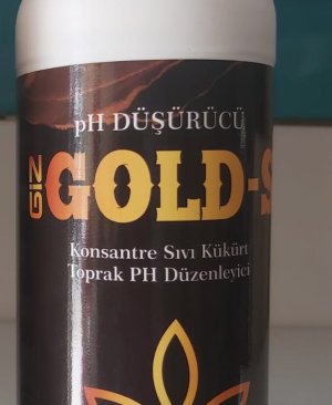 GİZ-GOLD S