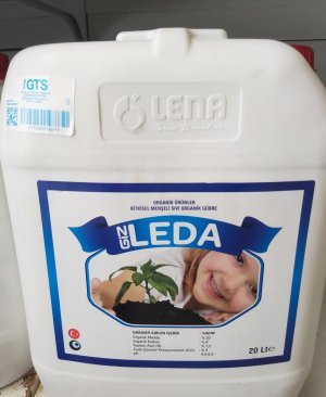 GİZ-LEDA 