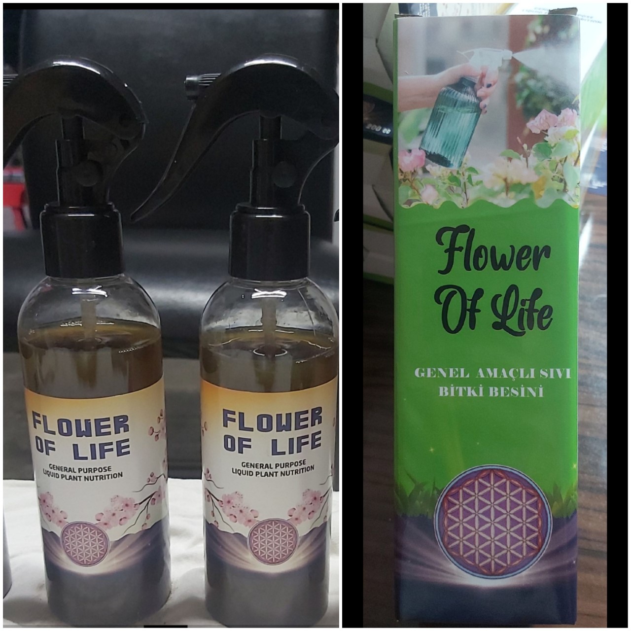 GİZ-FLOWER OF LİFE 